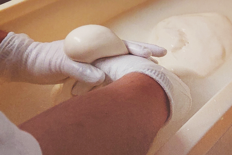 利用牛奶制作马苏里拉奶酪的过程