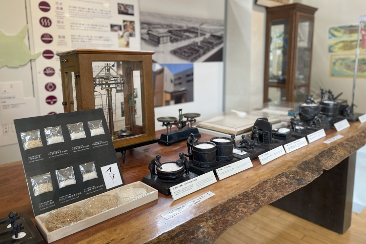 博物馆内的展品