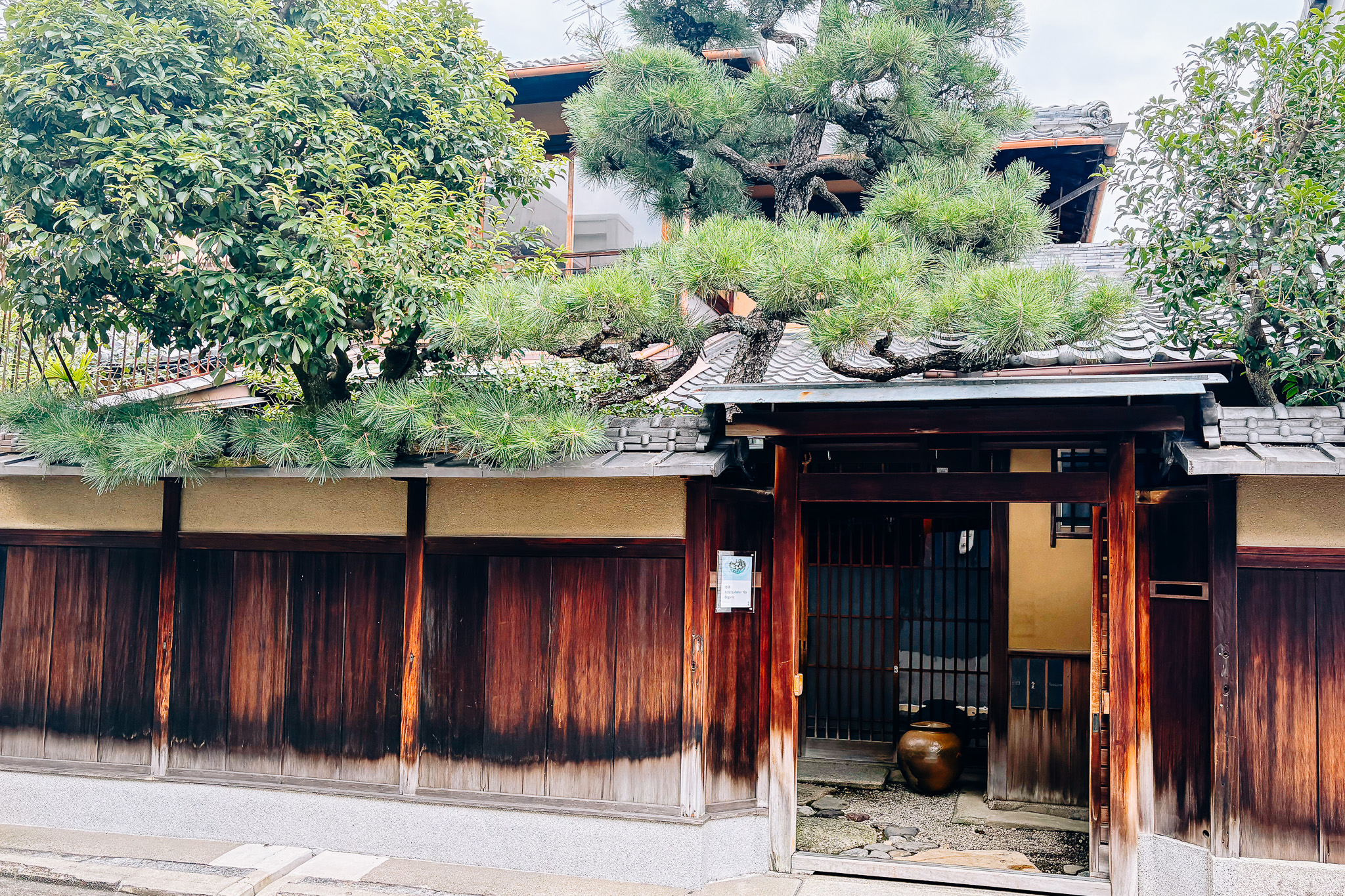 体验日本茶深邃魅力的茶室“冬夏”的片刻时光