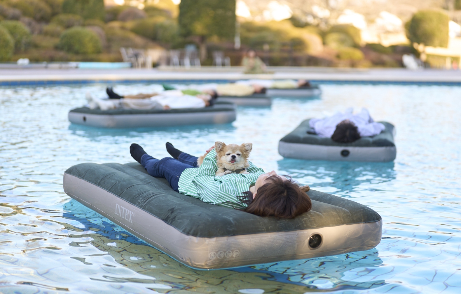 3/20 (周五·节日) ~5/31 (周日) “春季集会”