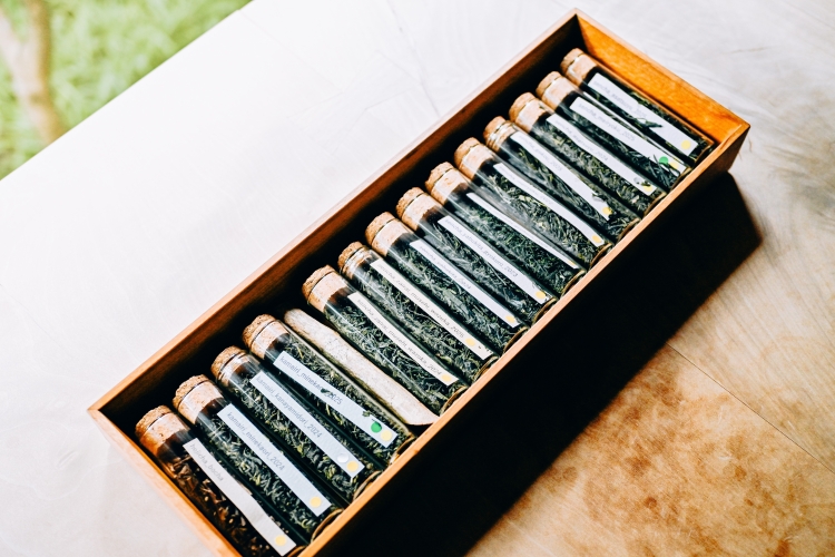 从“朝津”和“薮北”等十几种茶叶中选择